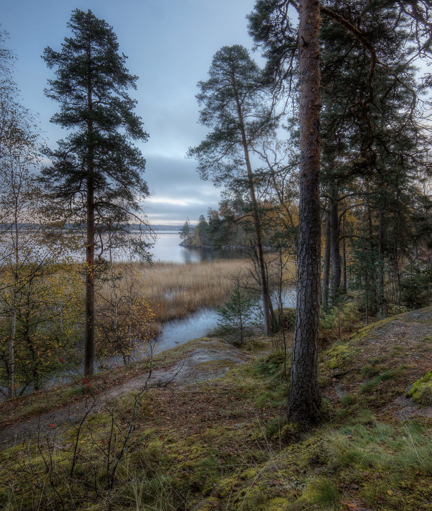 photo "***" tags: landscape, autumn, morning, Выборг, приода