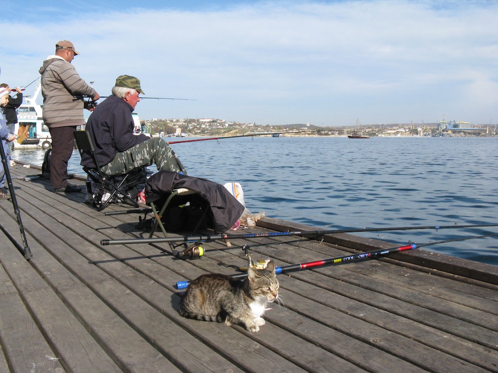 photo "***" tags: landscape, street, travel, sea, tomcat, Севастополь, рыбаки