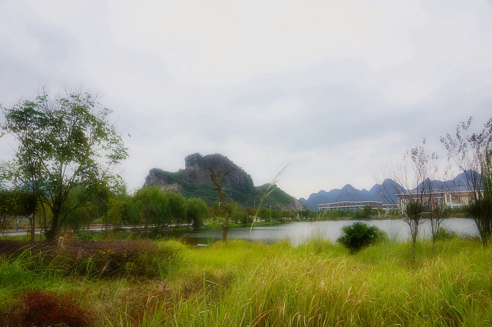 photo "soft green" tags: travel, nature, street, Asia, clouds, flowers, forest, lake, mountains, sun, water, winter