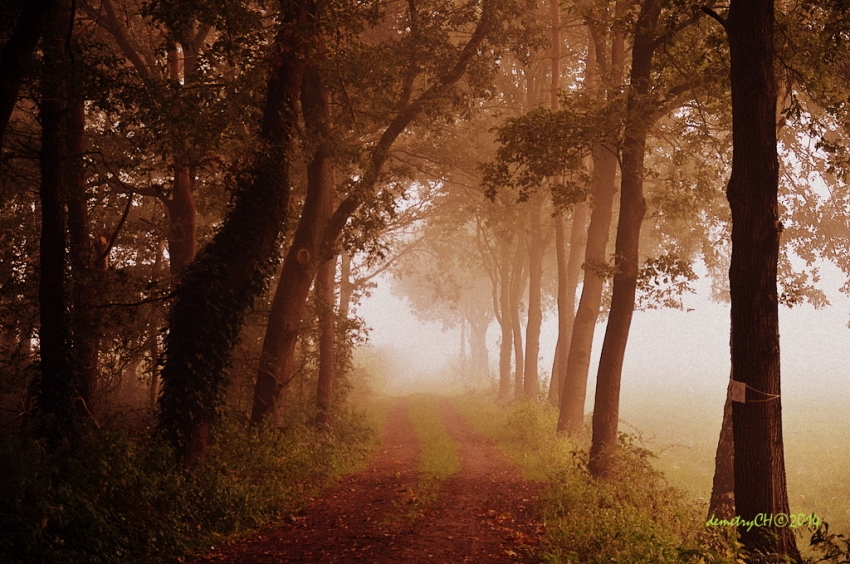 photo "***" tags: reporting, travel, landscape, 