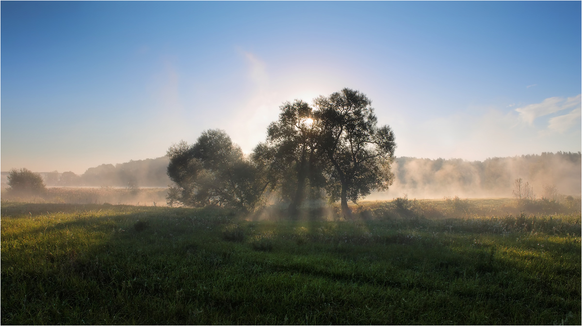 photo "***" tags: landscape, nature, fog, morning, summer