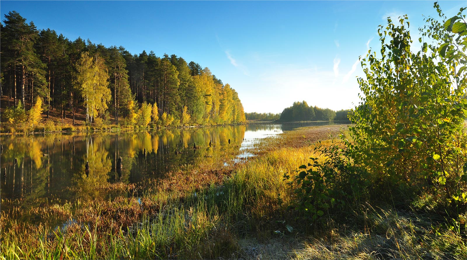 фото "Утро" метки: пейзаж, природа, деревья, озеро, рассвет, утро