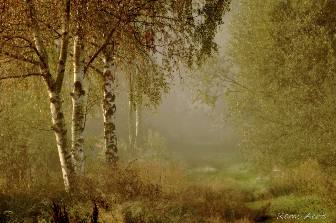 photo "***" tags: landscape, nature, 