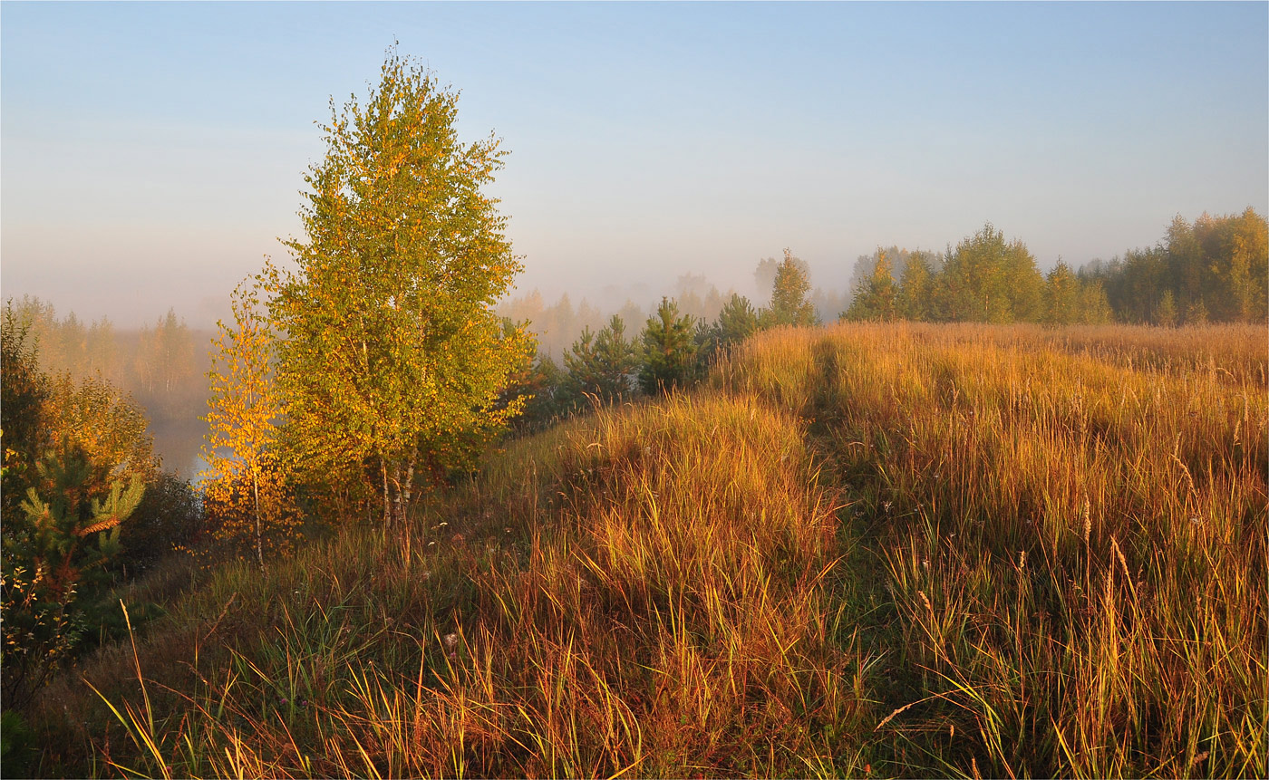 photo "***" tags: landscape, nature, fog, grass, river, summer, Восход