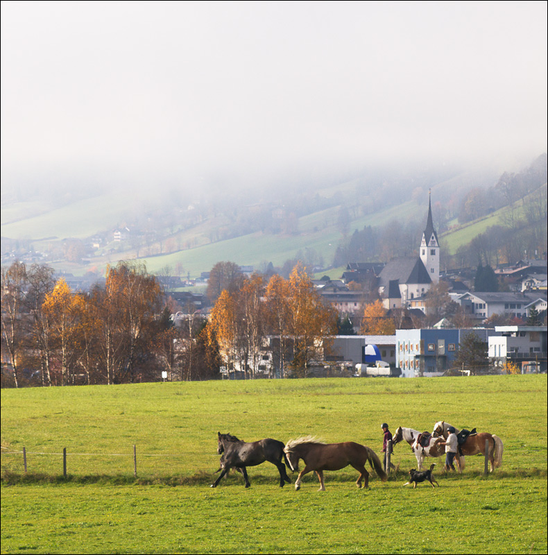 photo "Alps. Fog" tags: travel, 