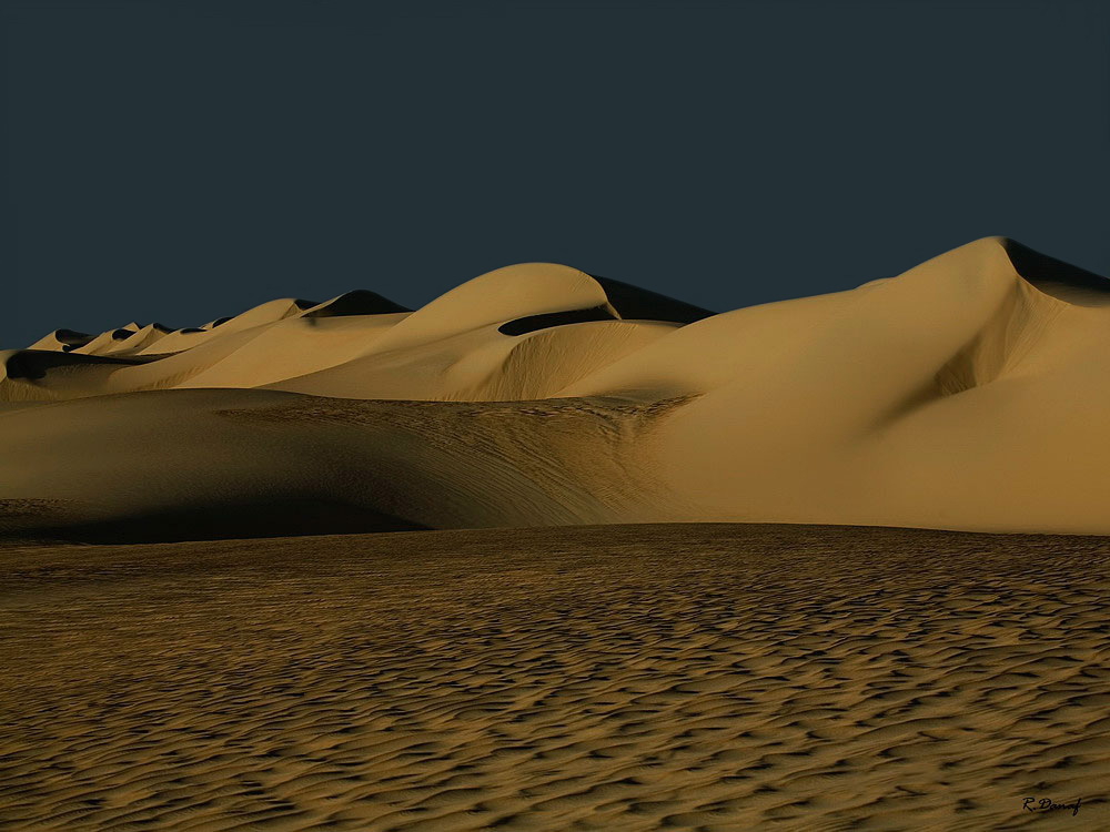 photo "Dunes 38" tags: landscape, 