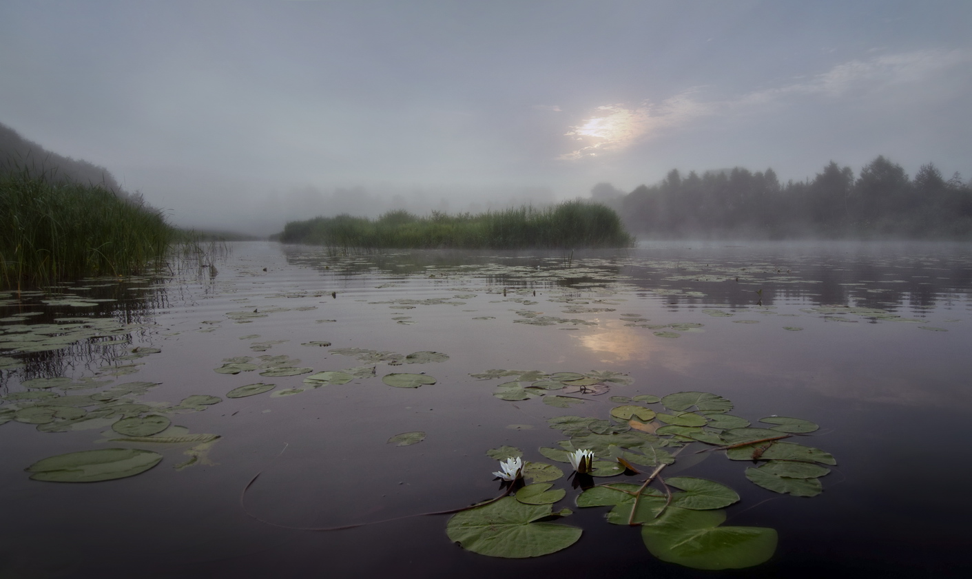 фото "Туманы на Нерли" метки: пейзаж, природа, путешествия, 