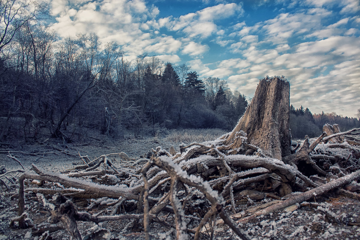 photo "***" tags: landscape, nature, autumn