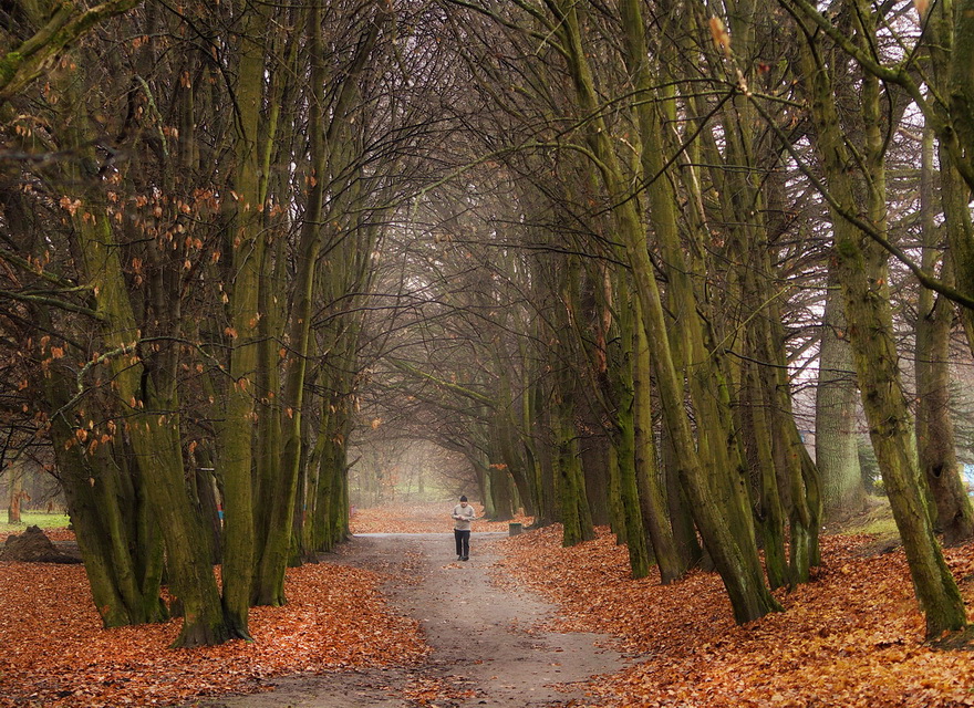 photo "***" tags: landscape, autumn, park