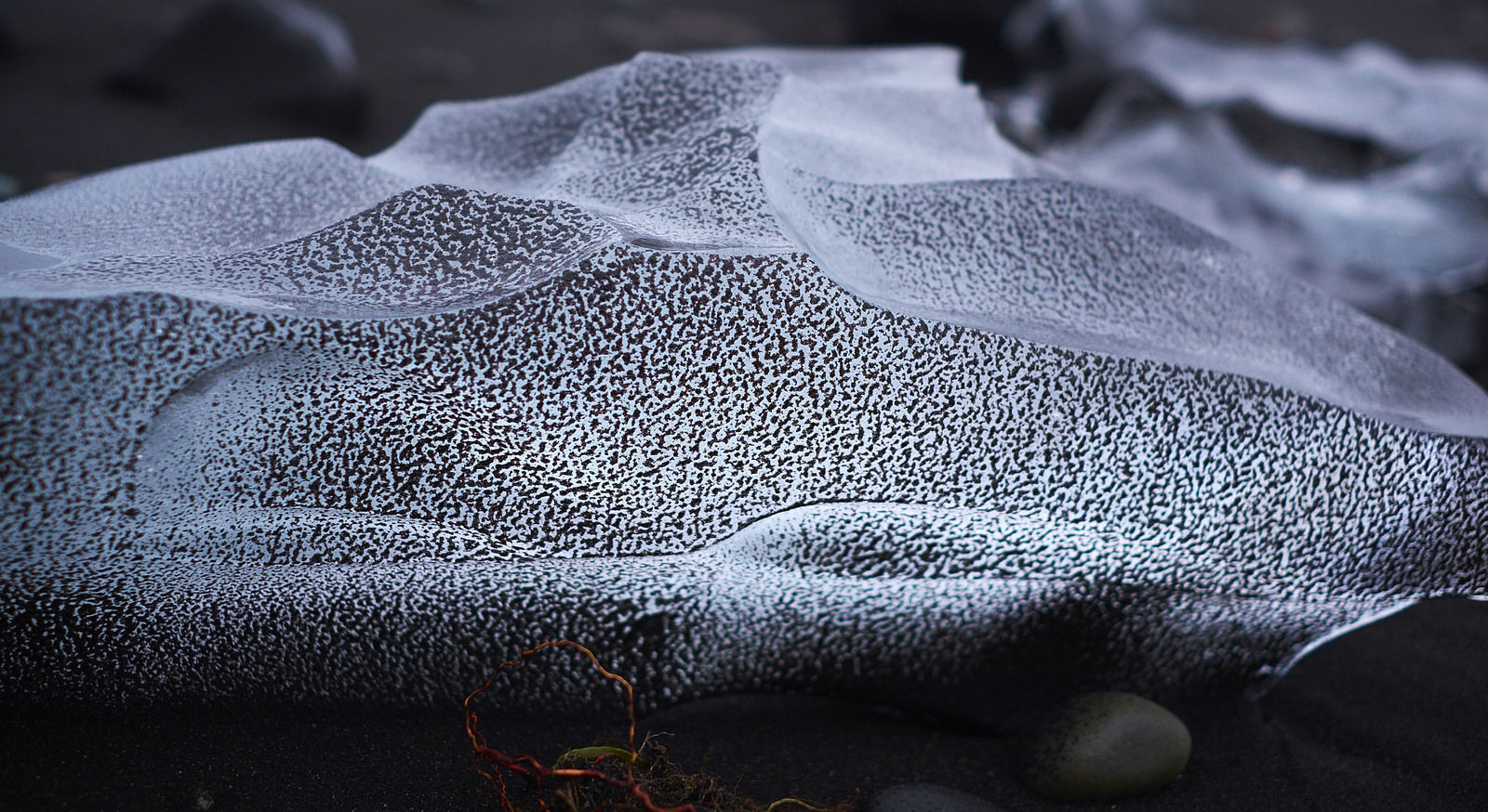 фото "Ice & Black sand" метки: природа, Ice, Iceland