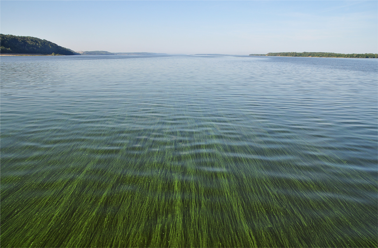 фото "На Волге широкой" метки: пейзаж, путешествия, вода, волга, тина