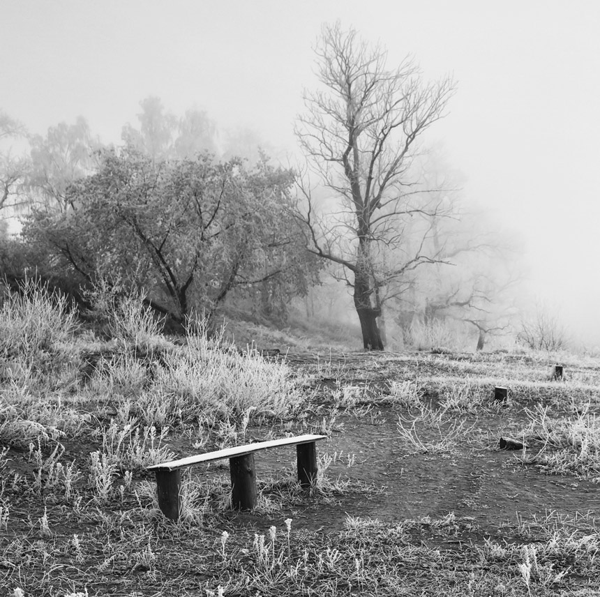 photo "***" tags: black&white, landscape, autumn, fog, morning, грусть, мороз, одиночество