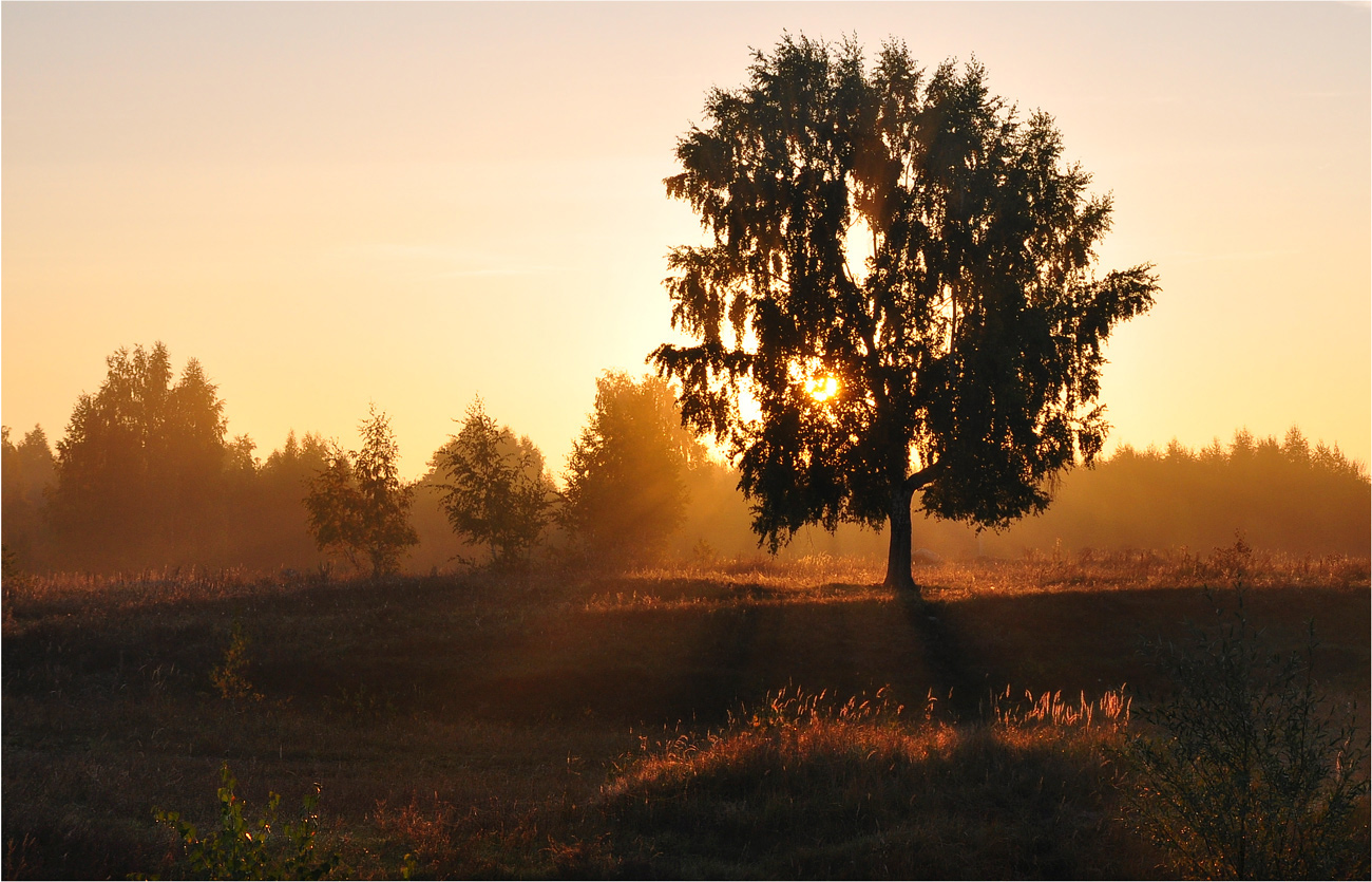 photo "***" tags: landscape, nature, 