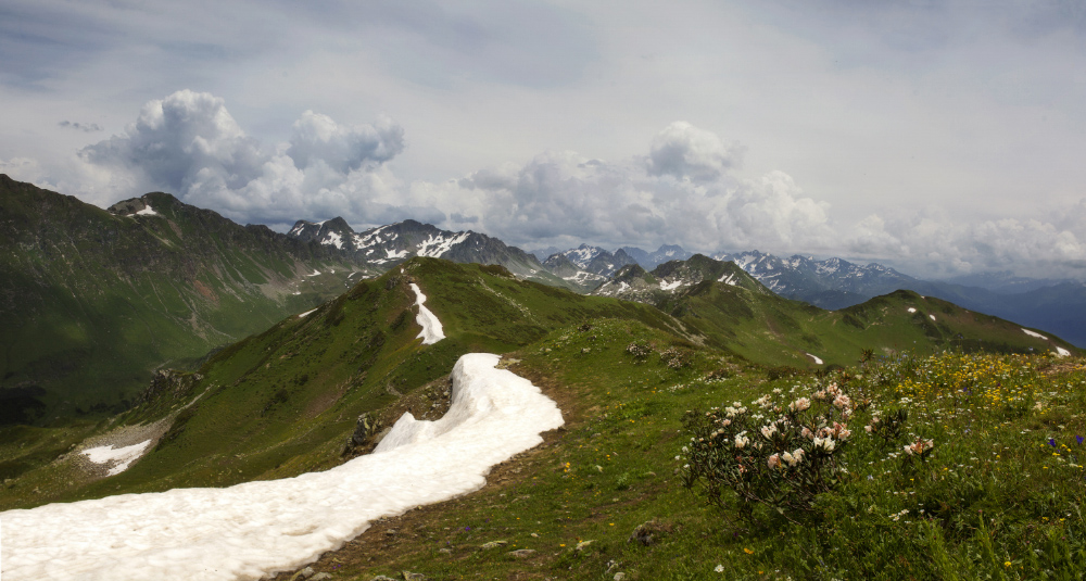 photo "***" tags: landscape, nature, mountains, snow, summer, Кавказ, альпийские луга