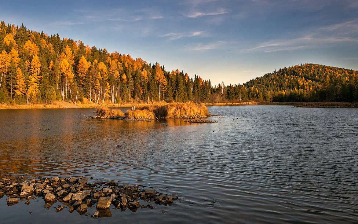 фото "Золотая пора" метки: природа, пейзаж, осень, урал