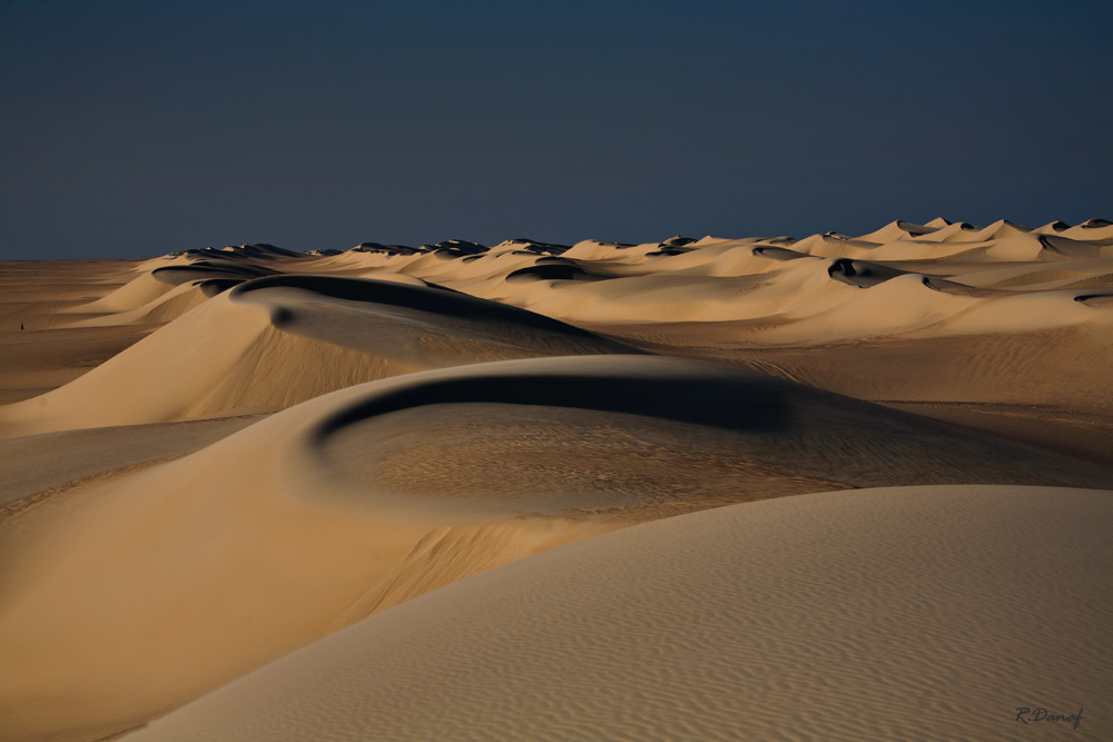 фото "Dunes 39" метки: пейзаж, 