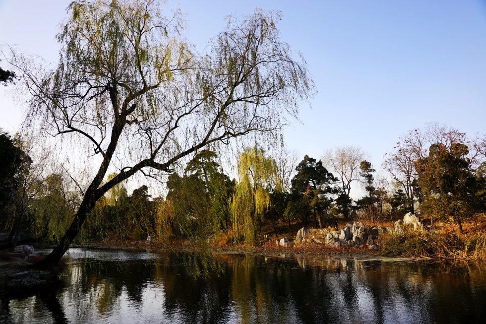 photo "WINTER  IN TSINGHUA UNIVERSITY" tags: nature, city, street, Asia, flowers, forest, lake, sunset, winter