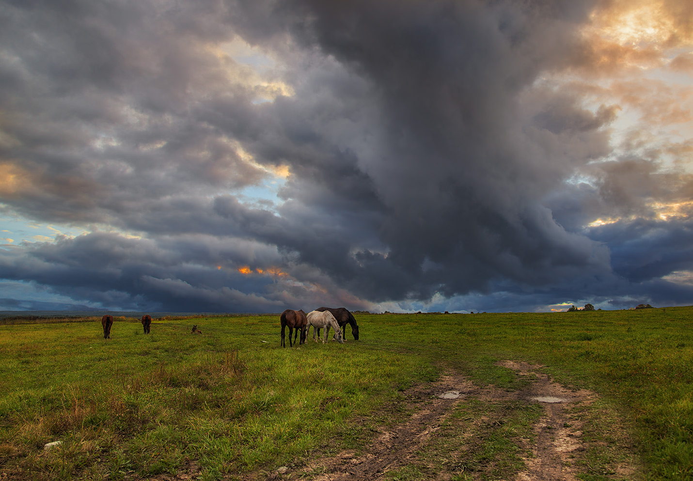 photo "***" tags: landscape, nature, 