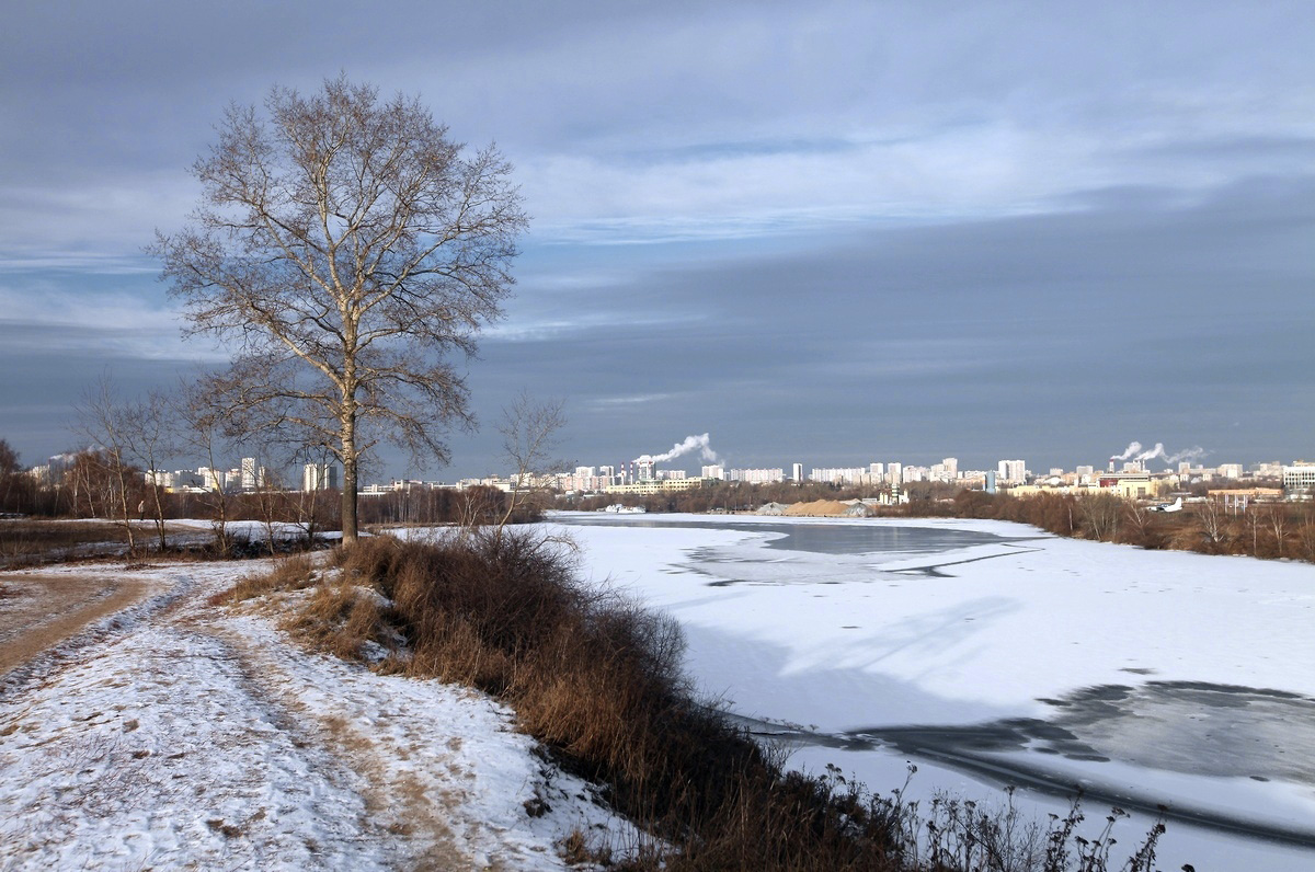 photo "Winter came" tags: landscape, Строгино Зима