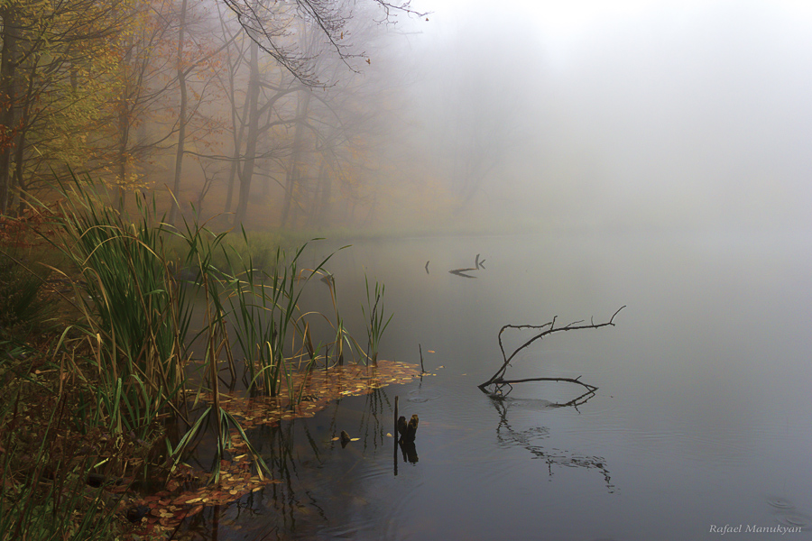 photo "***" tags: nature, landscape, 