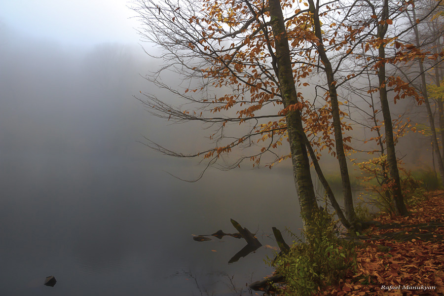 photo "***" tags: landscape, nature, 
