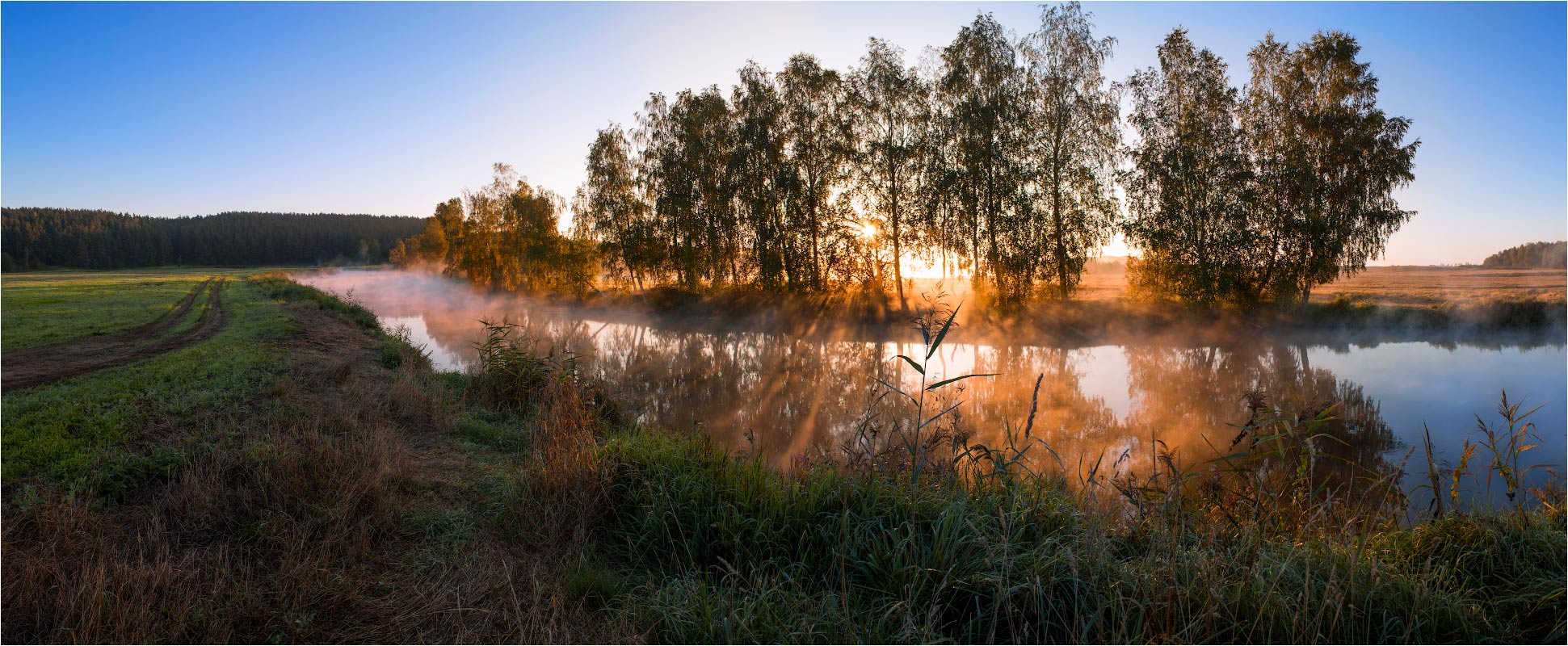 photo "***" tags: landscape, nature, fog, morning, summer