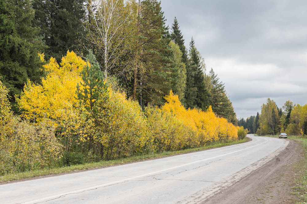 photo "***" tags: nature, travel, Russia, autumn, forest