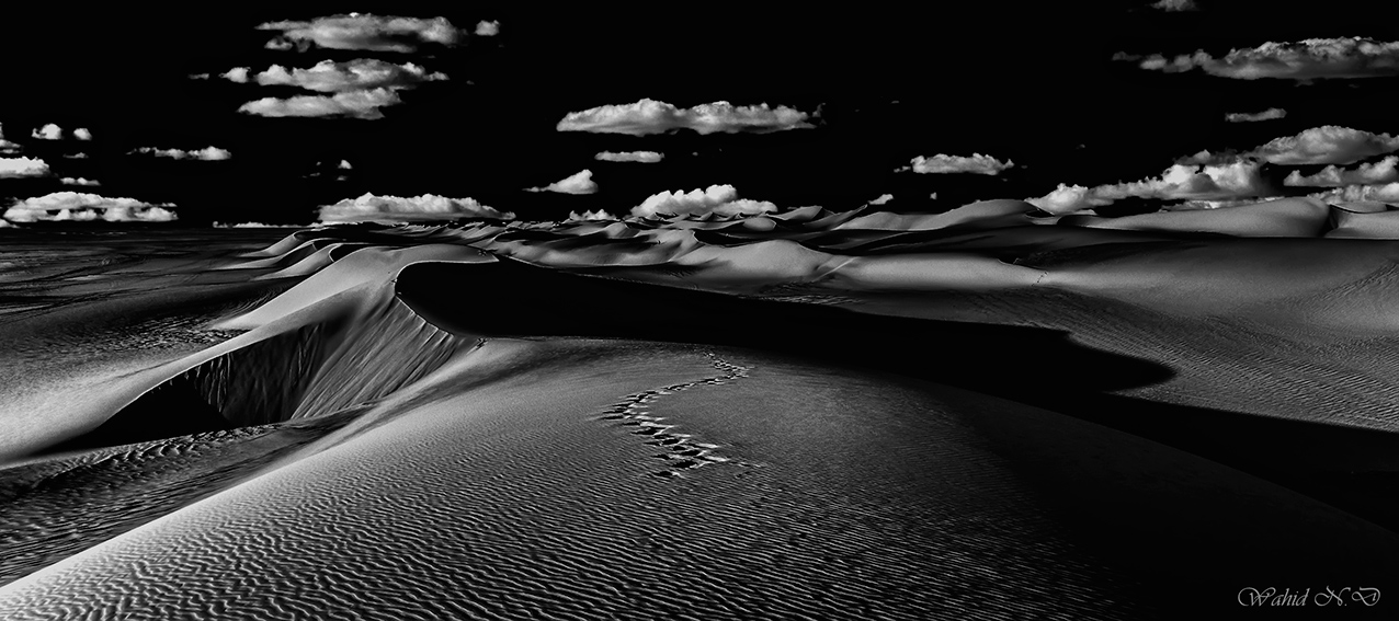 photo "B&W" tags: landscape, nature, black&white, Africa, Sand, desert