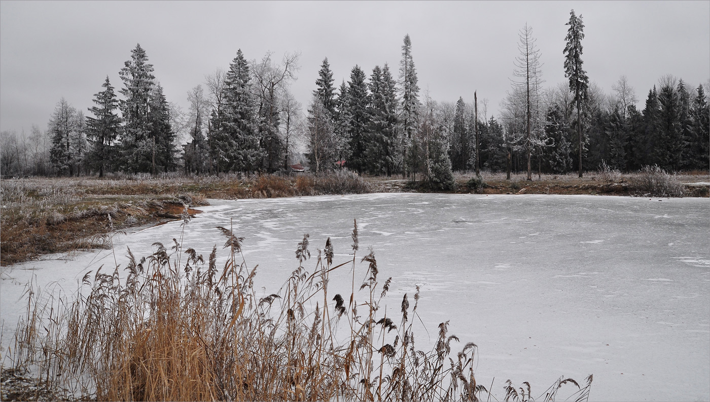 photo "***" tags: landscape, nature, forest, hoarfrost, lake, лед