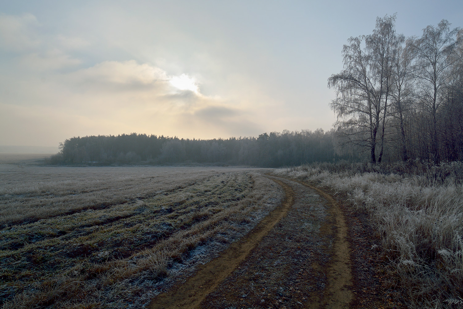 photo "***" tags: landscape, autumn, fog, hoarfrost, солнце.