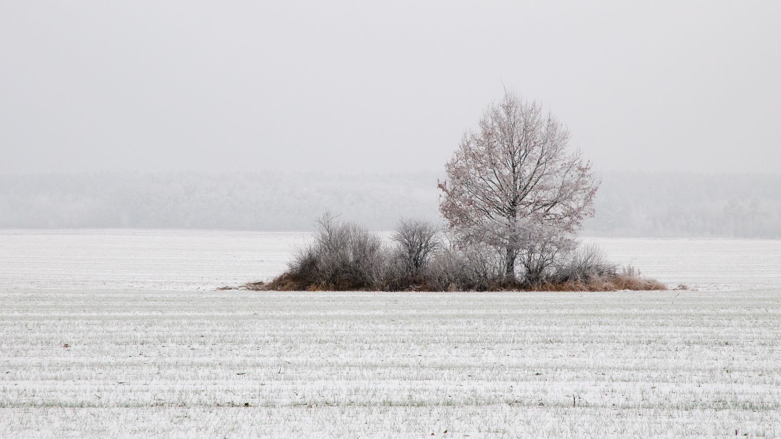 photo "***" tags: landscape, nature, 