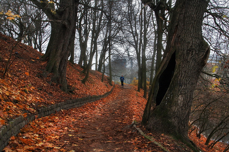 photo "***" tags: nature, autumn, деревья