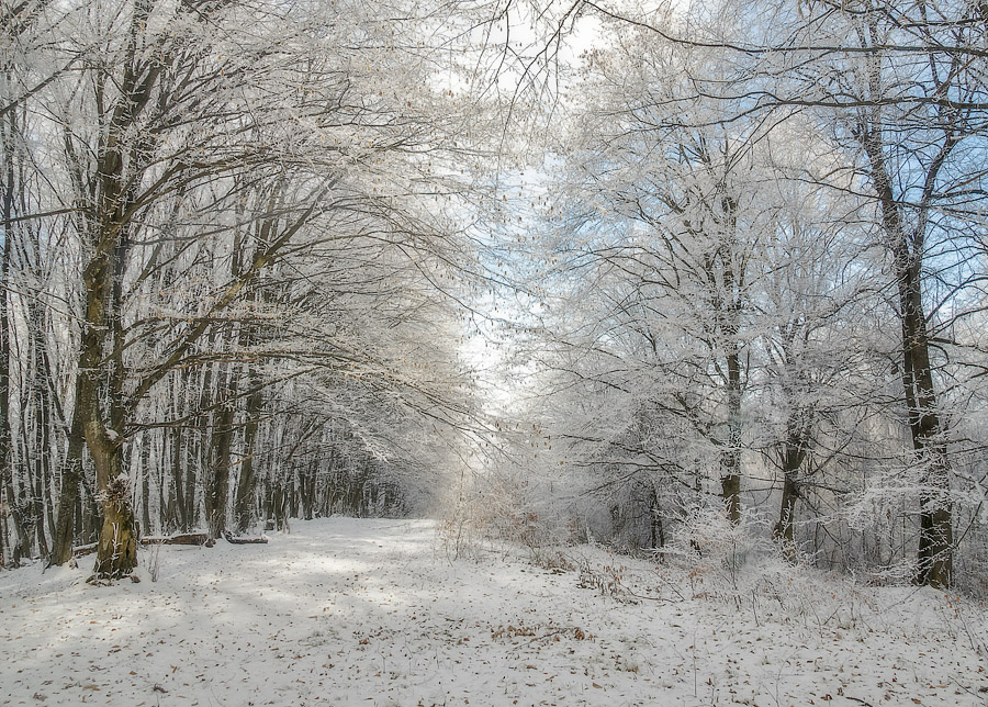 photo "***" tags: landscape, Кавказ, нальчик
