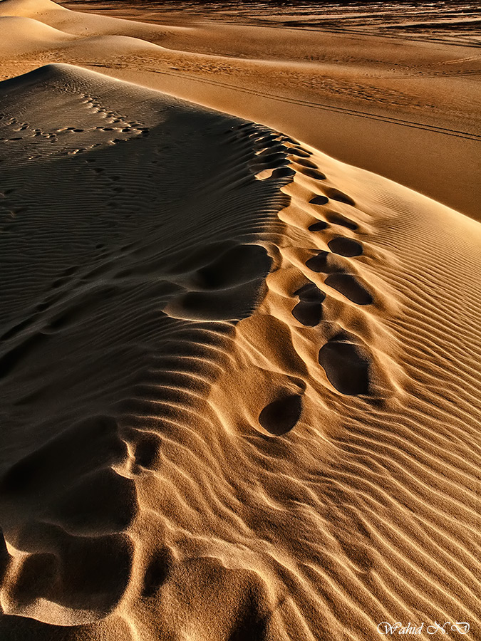 фото "Traces and ripples" метки: пейзаж, путешествия, природа, Sand, desert, Африка