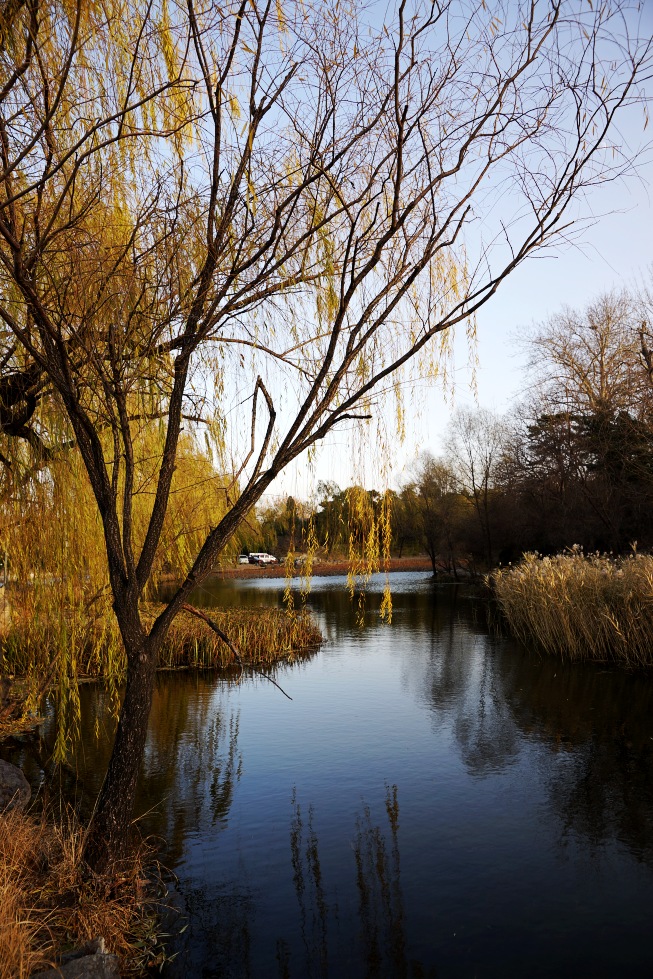 photo "tsinghua" tags: landscape, nature, city, Asia, clouds, flowers, forest, lake, sunset, water, winter