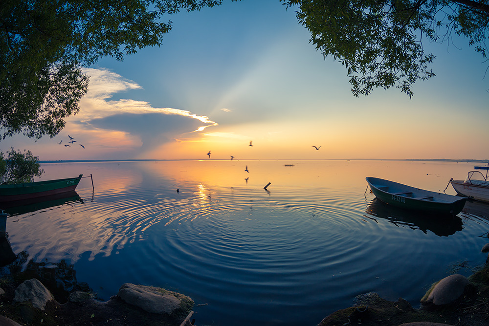 photo "Evening on the Lake" tags: landscape, nature, Переславль-Залесский, Плещеево озеро, Россия., Ярославская область