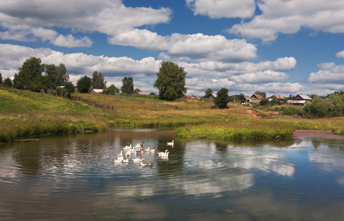 photo "***" tags: landscape, clouds, grass, pond, reflections, summer, деревня, зелень, утки