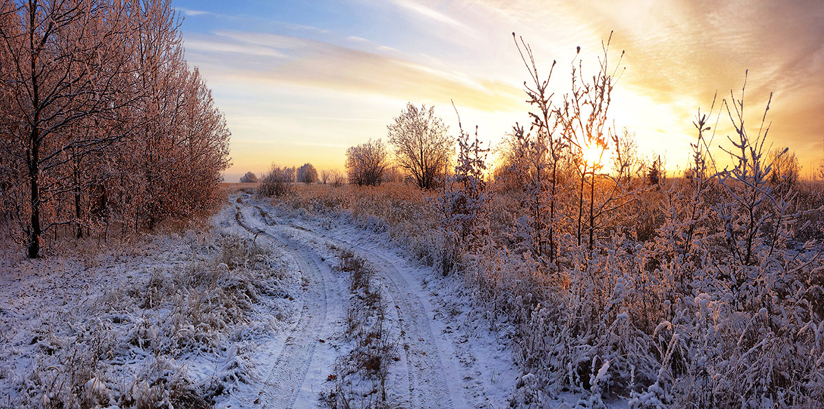 photo "***" tags: landscape, sunset, следы зима