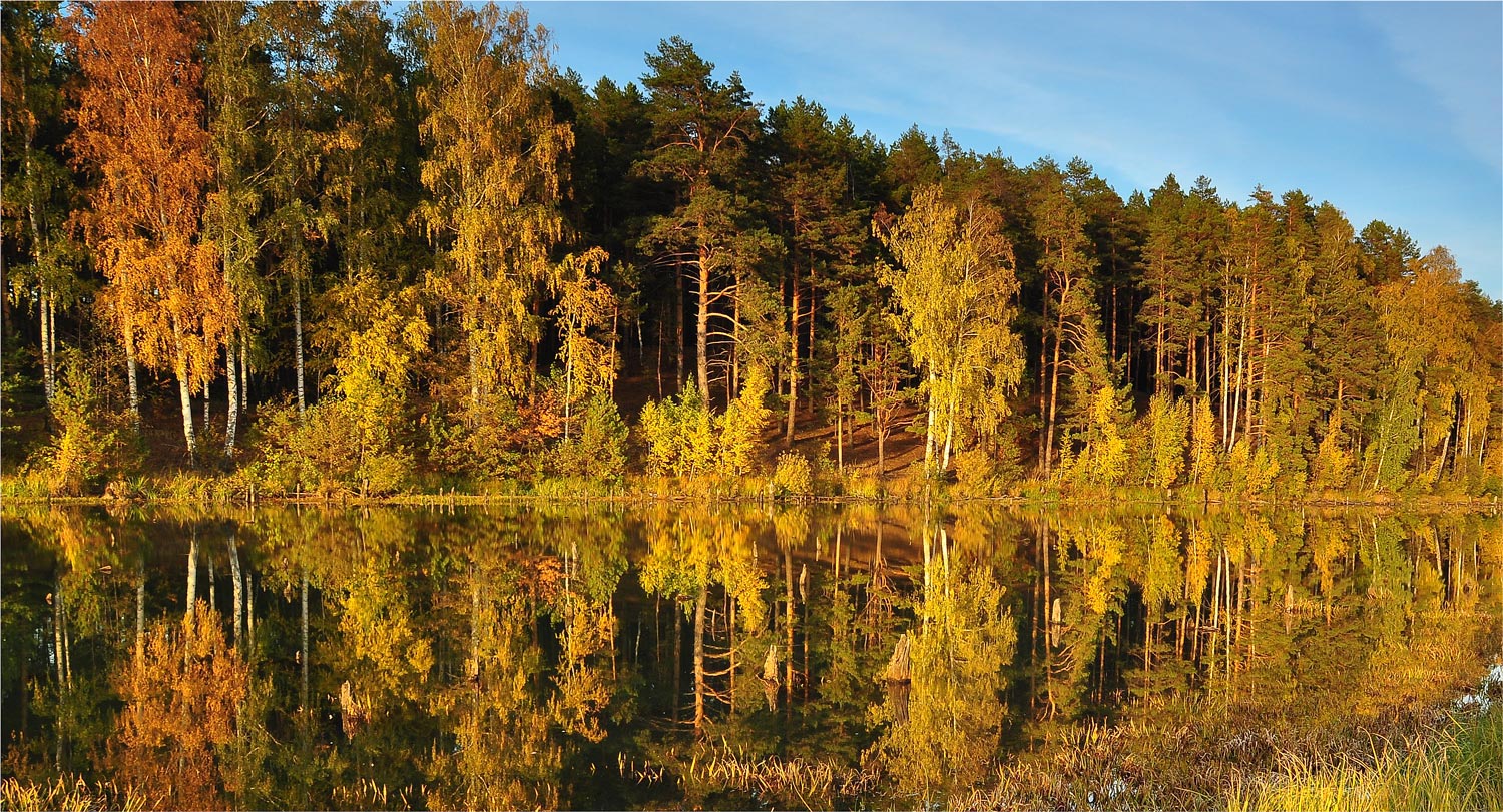 фото "Опаленные солнцем" метки: пейзаж, природа, лес, озеро, рассвет