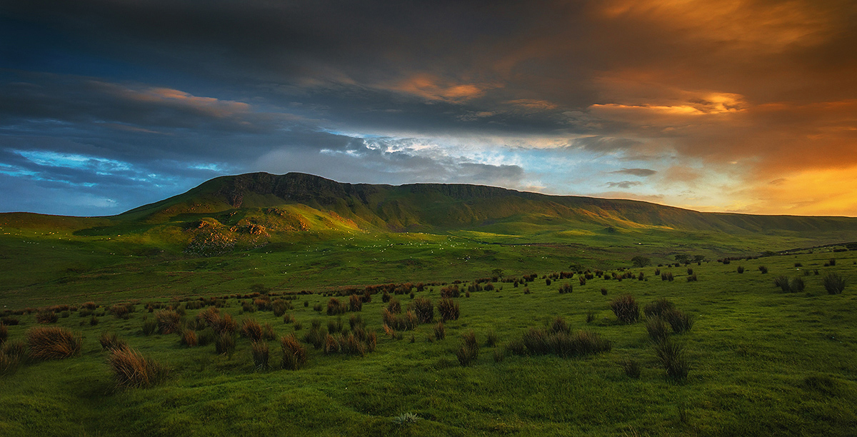 фото "***" метки: , 