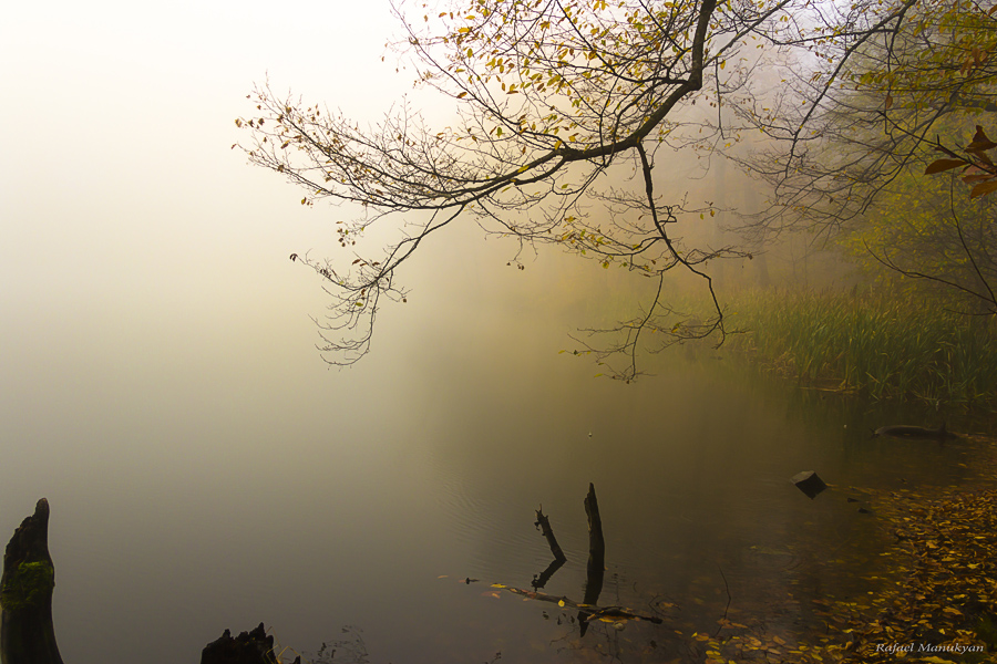 photo "***" tags: landscape, nature, 