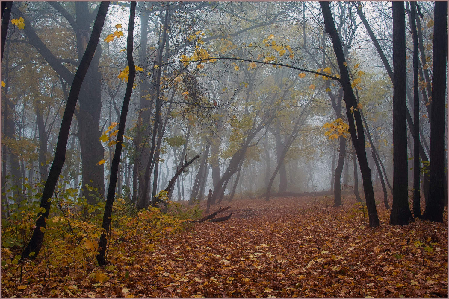 фото "Осень..." метки: пейзаж, 