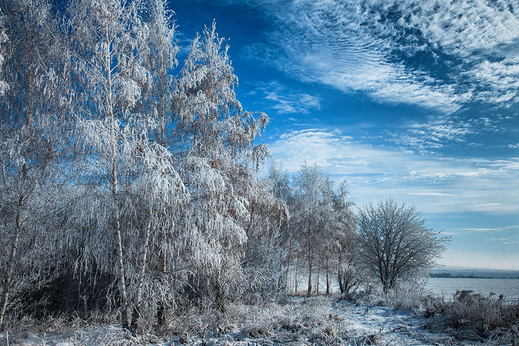 фото "***" метки: пейзаж, зима, иней, мороз, снег