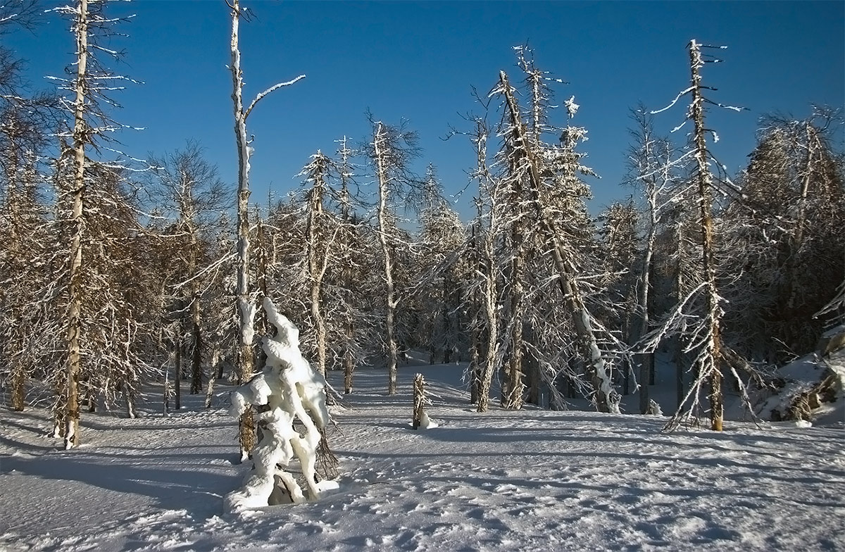 photo "***" tags: nature, winter, г.Белая, урал