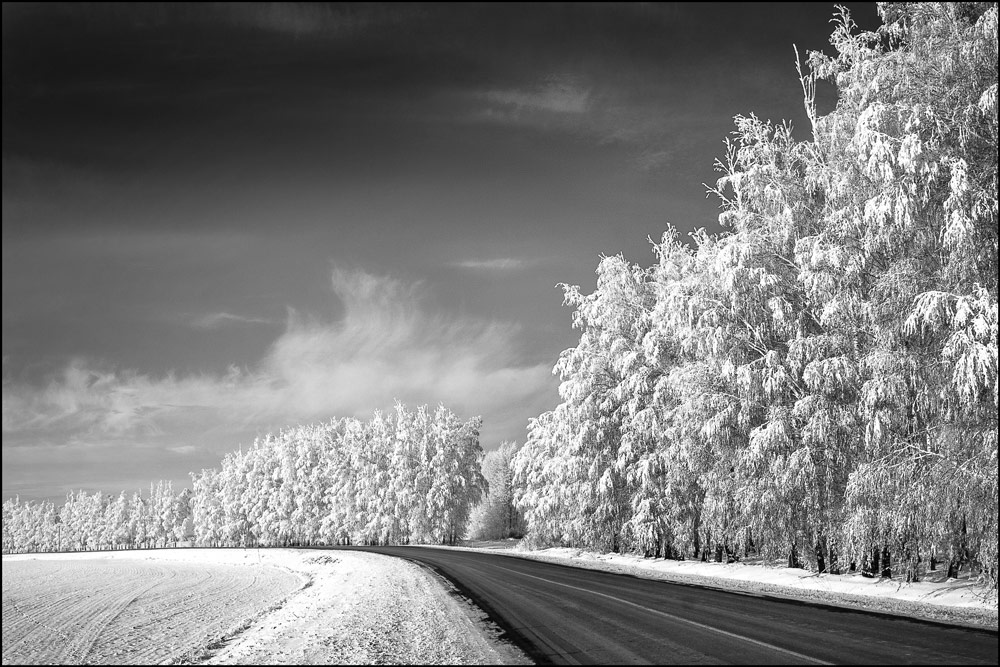 фото "Зимняя дорога." метки: пейзаж, дорога, зима, иней, мороз, снег