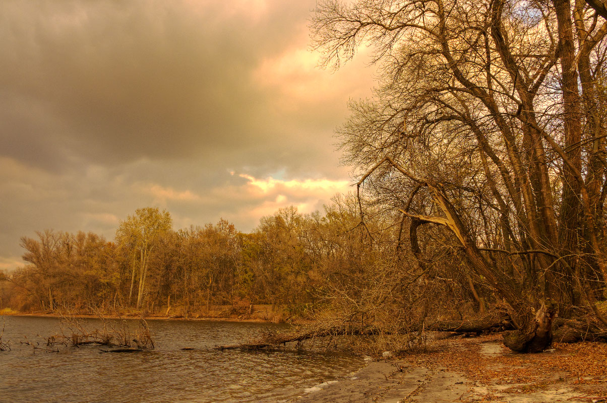 photo "***" tags: landscape, Dnieper, coast, forest, gulf, tree, бревно