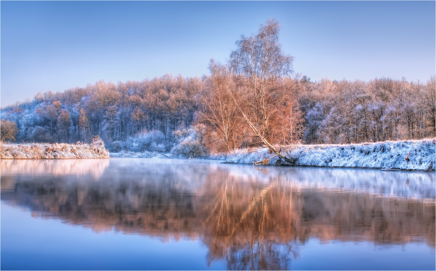 photo "***" tags: landscape, nature, forest, river, полдень