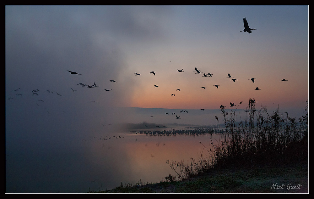 фото "Из тумана" метки: природа, 