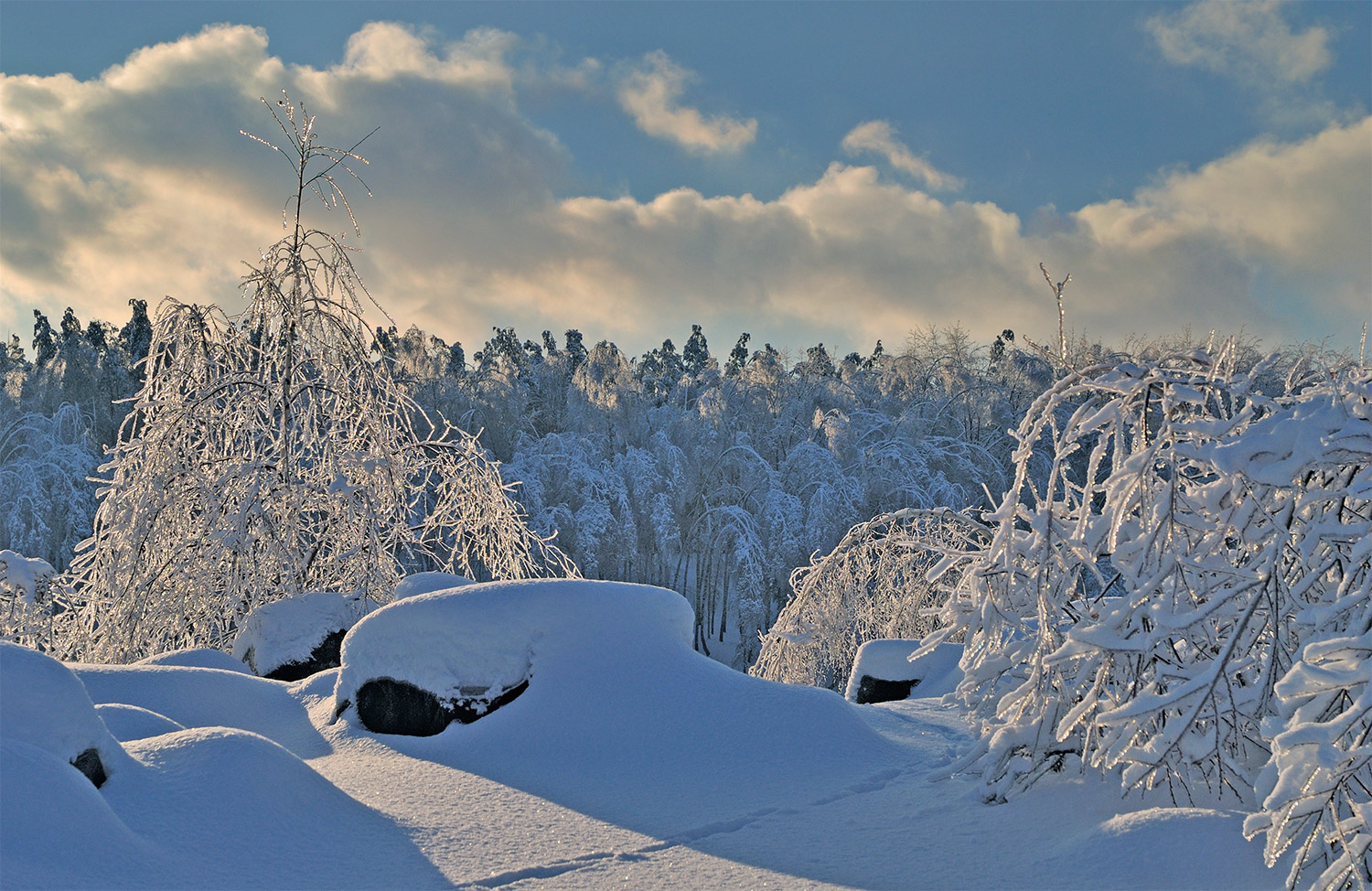 photo "***" tags: landscape, clouds, forest, winter, солнце.