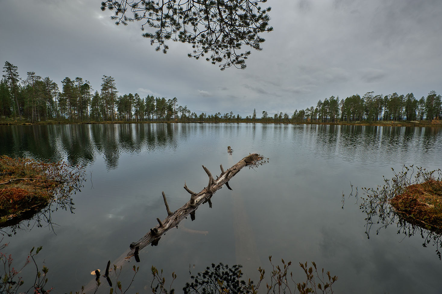 photo "***" tags: landscape, nature, Kola Peninsula, forest, water